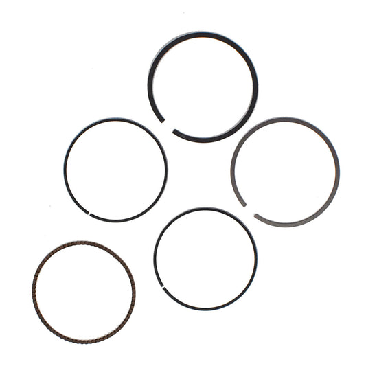 ALL-CARB Standard Bore Piston Rings Replacement for Honda Fourtrax 300 TRX300EX 74mm 2001-2009