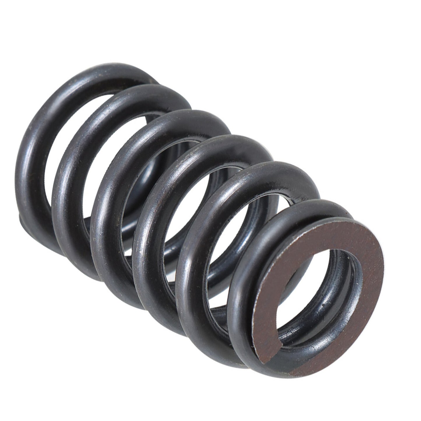 ALL-CARB Valve Spring Kit PAC-1218 Replacement for LS1 LS2 LS3 LS6 LQ4 LQ9 Engines