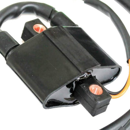 ALL-CARB Ignition Coil Double Line Replacement for ArcticCat Snowmobiles 3005-381 3005-170