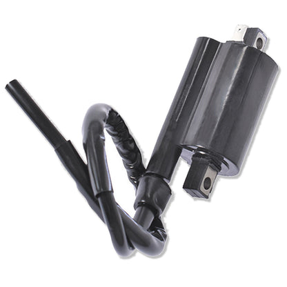 ALL-CARB Ignition Coil Replacement for Kawasaki Mule 3000 3010 4000 4010 21121-2092